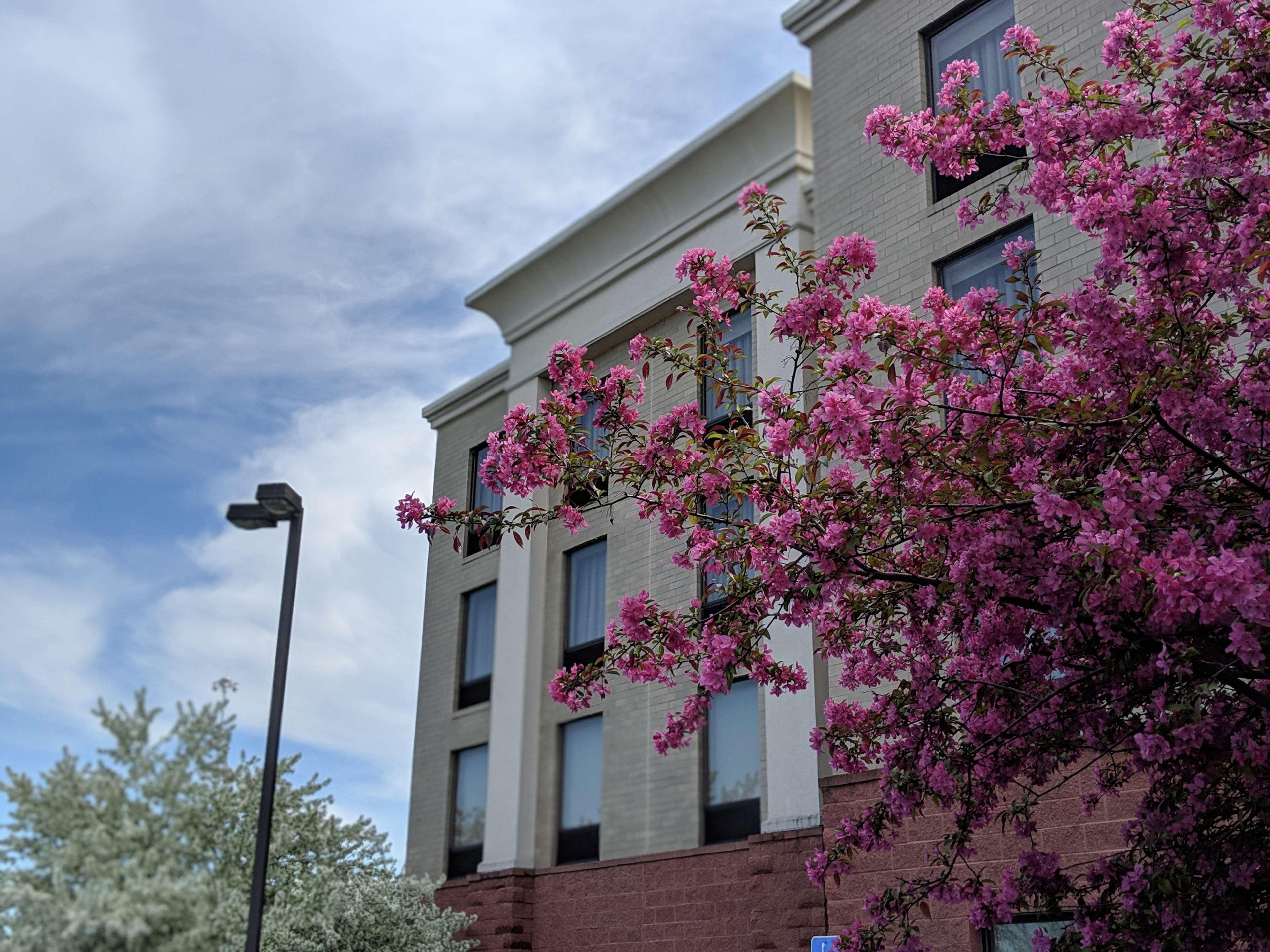 Hampton Inn & Suites Cincinnati-Union Centre West Chester Exterior photo